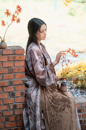 马达加斯加的企鹅